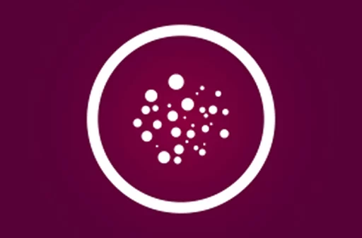 burgundy wine