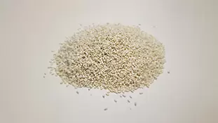 Sesame seeds