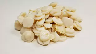 water chestnut